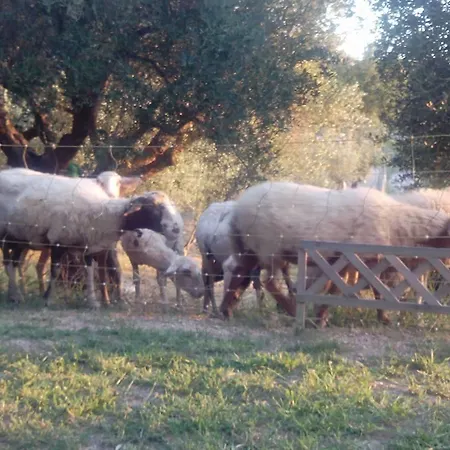 Tempa Del Niglio Farm stay *